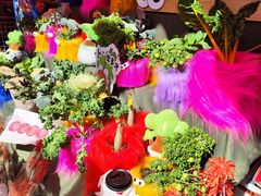-越秀西湖花市(广州城市广场花卉店)