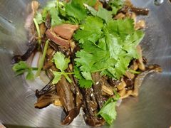 -托乐嘉美食广场(托乐嘉街区店)
