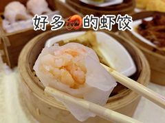 -龙的酒楼·手工早茶·顺德菜(近良路店)
