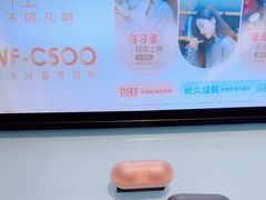 -Sony Store索尼(广州正佳店)