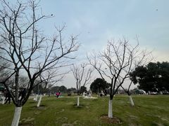 -玄武湖景区-情侣园游乐场