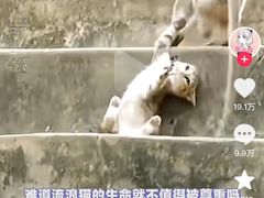 -昆明动物园