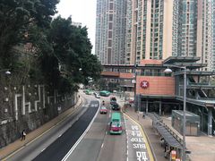 -香港大学