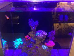 -Rabbit Cafe私房西餐甜点咖啡(栖霞路店)