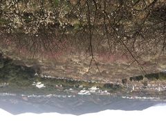 iphone_upload_pic-香雪海
