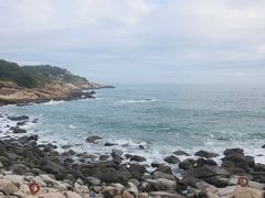 -广东惠东海龟国家级自然保护区