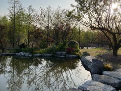 景点-上海长兴岛郊野公园