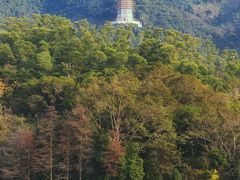 -深圳仙湖植物园