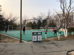 -桃花岛公园