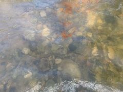 -罗田大别山峡谷漂流