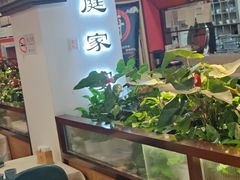 -洞庭家宴·头牌甲鱼(广渠门店)