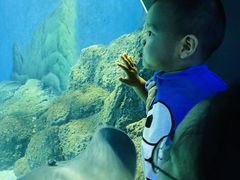 -常州海昌海洋探索馆