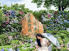 -天适樱花悠乐园