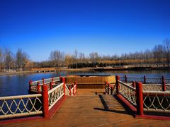 -东郊湿地公园
