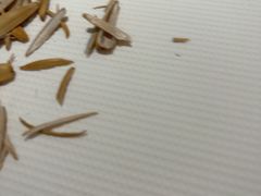 -桂满陇·蟹黄小笼汤包(中山公园店)