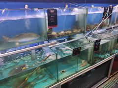 水产区-船梆煮•蒸汽海鲜·炉火烤肉(五四广场店)