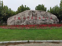 -上海海湾国家森林公园