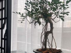 -悦融·京鲁菜·露台花园(安定门店)