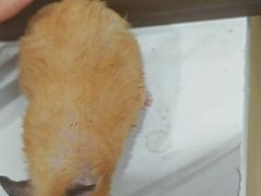 -INLOVE KTV(西溪印象城店)