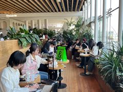 -Seesaw Coffee(朝阳大悦城店)