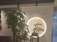 -席仁堂推拿按摩脊柱调理(世纪科贸大厦店)