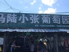 -马陆小张葡萄园农家乐