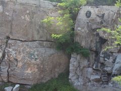 -原山国家森林公园