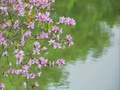 -华南国家植物园-售票处