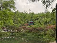 -岳麓山风景名胜区