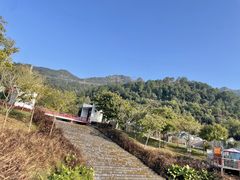 -南丹山森林王国