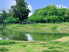 -两河城市森林公园
