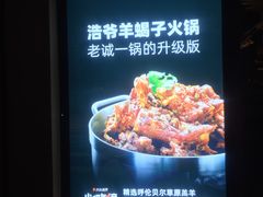 -浩爷羊蝎子火锅(望京店)