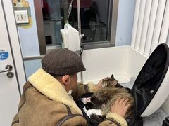 -纳吉亚猫专科动物诊疗中心(蒋宅口分院)