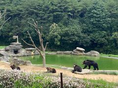 -杭州野生动物世界