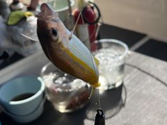 -小猫钓鱼海钓俱乐部(椰梦长廊店)