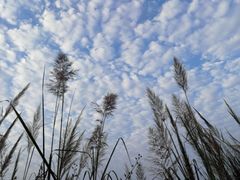 -溪口-滕头旅游景区