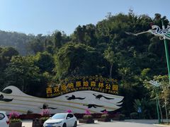 -西双版纳原始森林公园