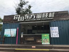-田园东方蜜桃村的田野营地