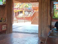-长鹿旅游休博园