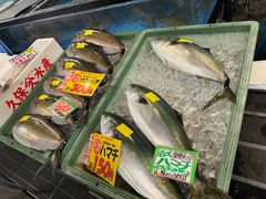 -南纪白浜Toretore市场