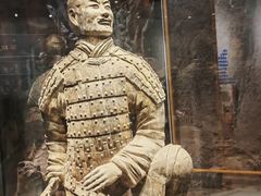 -秦始皇帝陵博物院(兵马俑)