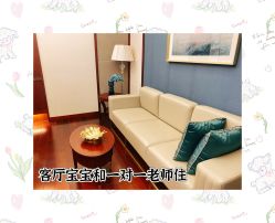 -馨月汇·独栋月子中心(南山店)