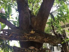 -Fern Forest Cafe