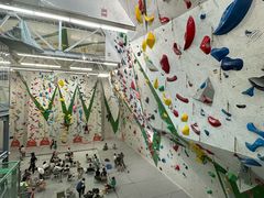 -绿壁虎攀岩基地(Tcar店)