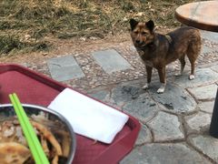 -北京大学-燕南食堂