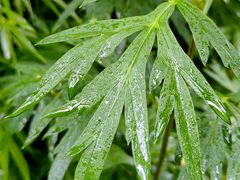 -渭河城市绿地运动公园