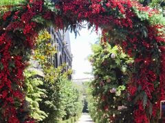 -The Grounds of Alexandria