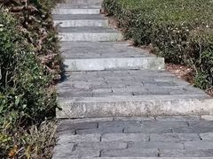 -东钱湖旅游度假区