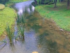 -西山漾湿地公园