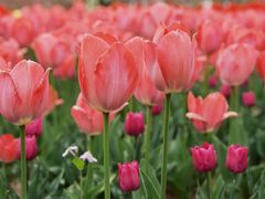 -淇河国家湿地公园